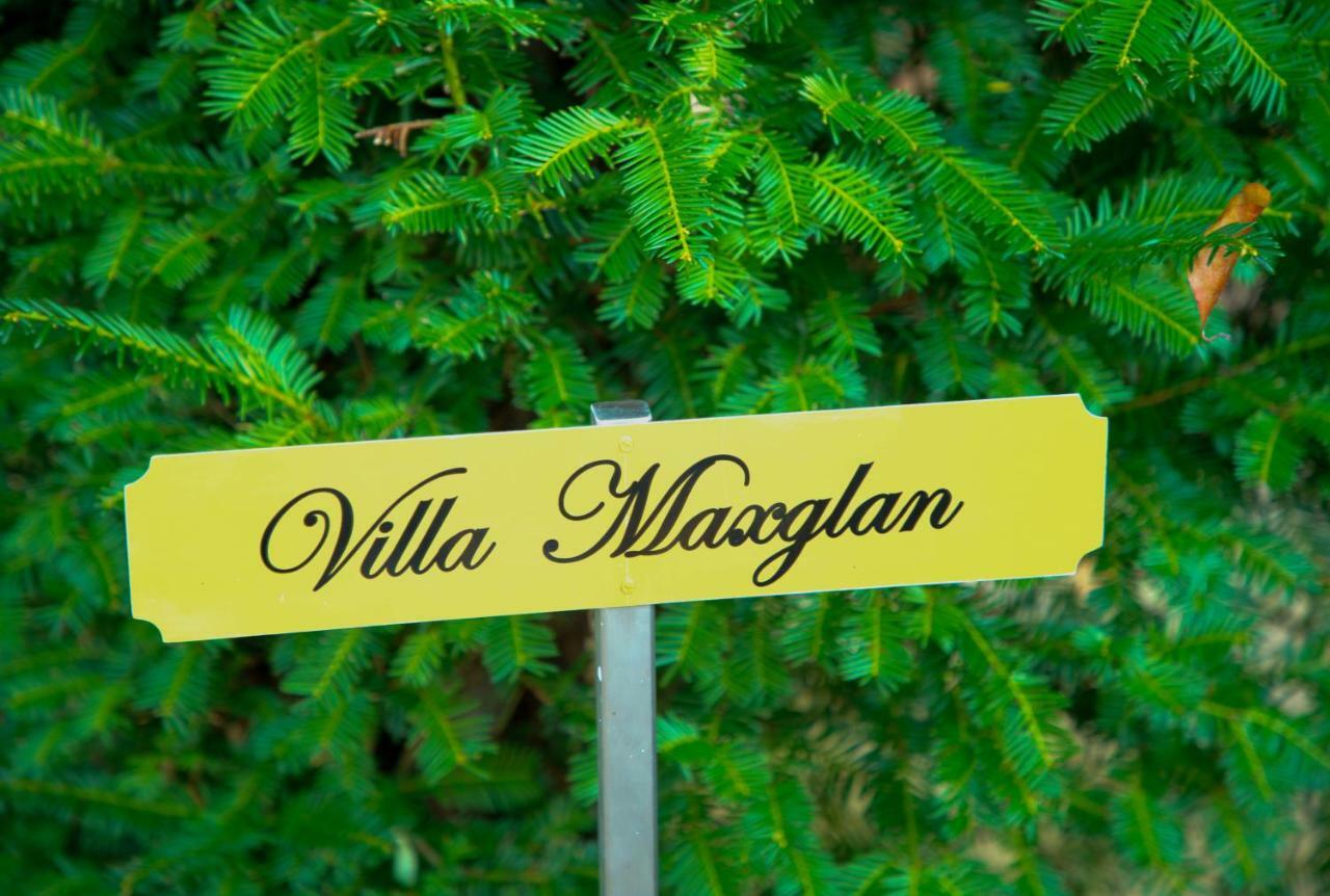 Villa Maxglan Salzburg Eksteriør billede